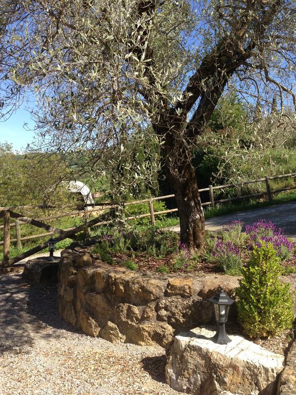 Podere Poggio Benedetto Saturnia Zimmer foto