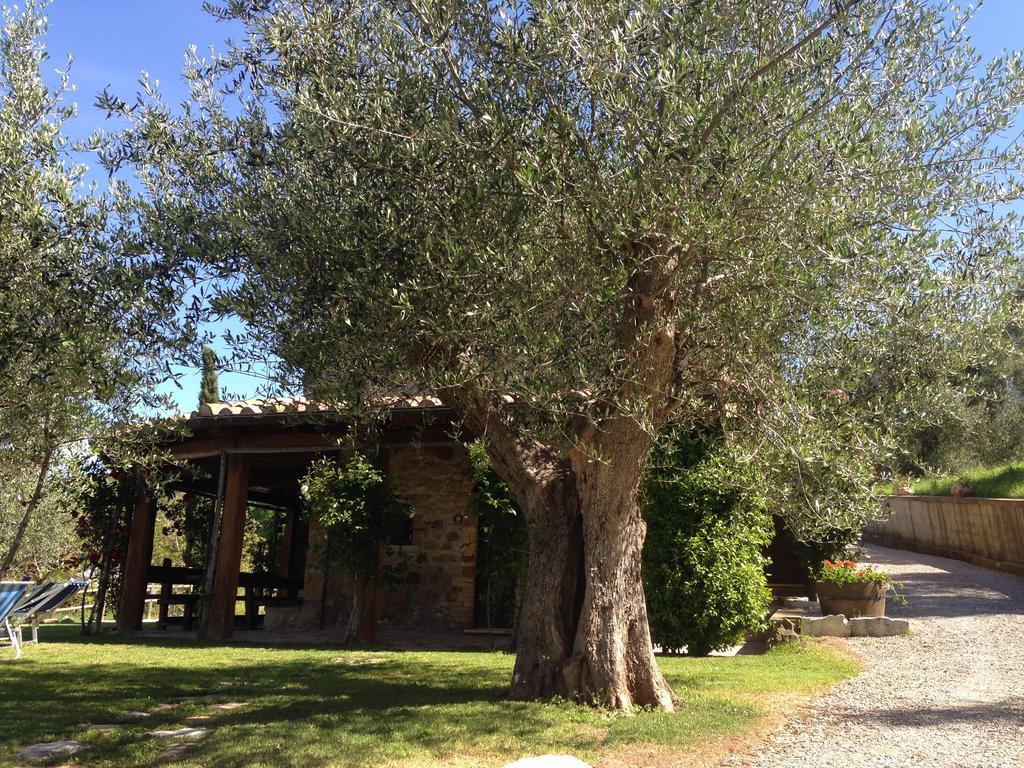 Podere Poggio Benedetto Saturnia Zimmer foto
